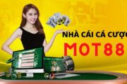 Mot88 là điểm giải trí lý tưởng cho anh em cược thủ